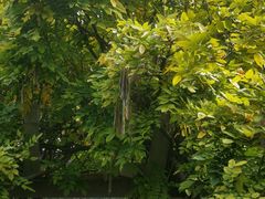 -青州古城