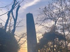 -上海佘山国家森林公园天马山园