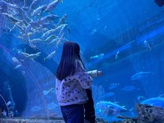 -华夏文旅海洋公园