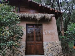 -杭州植物园