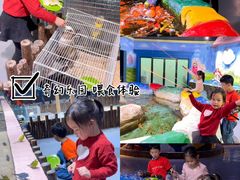 -顺德南宏海立方海洋公园
