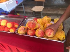 -武汉世外桃源农庄