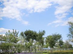 -秦皇岛野生动物园