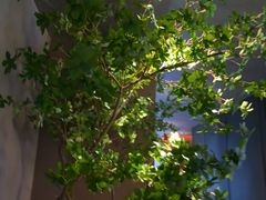 -唐宫足道·SPA·住宿24H会所(木渎店)