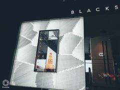 -BLACKSWAN黑天鹅(环球店)