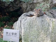 -静安公园(静安寺街道)