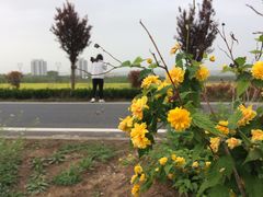 -陕西省红河谷森林公园