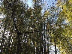 -新竹里馆·花园餐厅(兴苑路店)