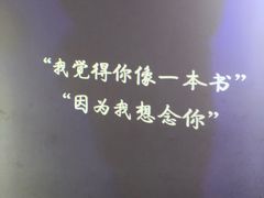 -成都失恋馆