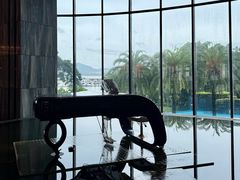 -希尔顿南海酒店·观廊大堂吧·海景下午茶