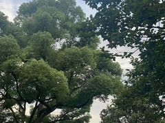 -浙江西子宾馆·牡丹厅