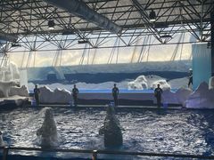 -秦皇岛乐岛海洋王国