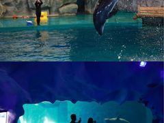 -威海华夏城景区