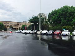 场地-大宁郁金香公园-停车场