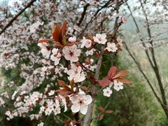 -终南山南五台景区