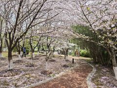 -江南大学(蠡湖校区)