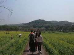 -红山村