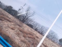 -中原农家乐(中原饭店)