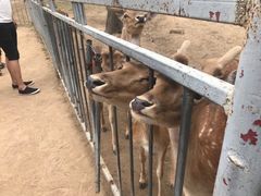 -西安秦岭野生动物园