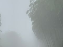 -江南天池