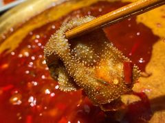 -周师兄大刀腰片火锅(洪崖洞旗舰店)