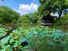 -绍兴鲁迅故里·沈园景区