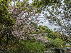 -成都南湖公园