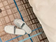 -上海龙之梦万丽酒店