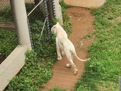 -石家庄市动物园