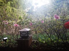 -随意茶庄·地道杭帮农家菜(梅家坞店)