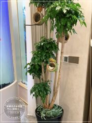 -新蝶变皮肤管理中心