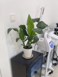 -Cream88颜皮肤管理中心