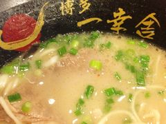 博多浓厚豚骨拉面-博多一幸舍(侨福芳草地购物中心店)
