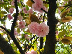 -贵阳市花溪国家城市湿地公园