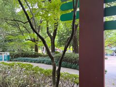 -杭州半山国家森林公园