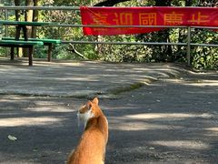 -太和古洞
