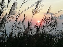 -小南山公园