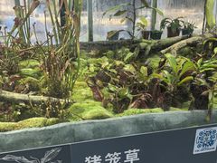 -国家植物园南园