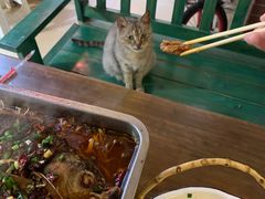 -鱼乐岛餐厅·户外花园主题餐厅