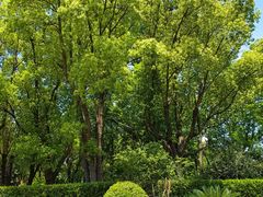 -上海交通大学(闵行校区)