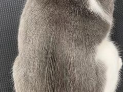 -comecome来吧宠物(奥克斯中心店)