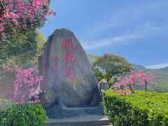 -桃花岛风景旅游区