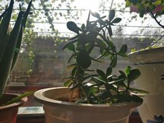 -伊隆斋(什刹海店)