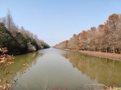 -上海海湾国家森林公园