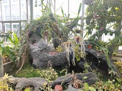 -国家植物园南园