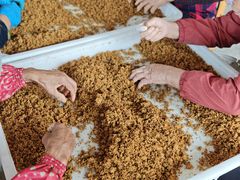 -苏州市吴中区光福窑上花果蜜饯厂