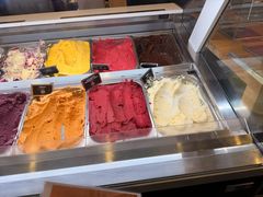 -Patagonia Chocolates(皇后镇店)