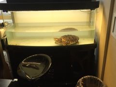 -弹指之间吉他培训(石景山店)
