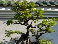 -中山公园
