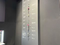 -Dyson戴森直营店(世纪汇店)